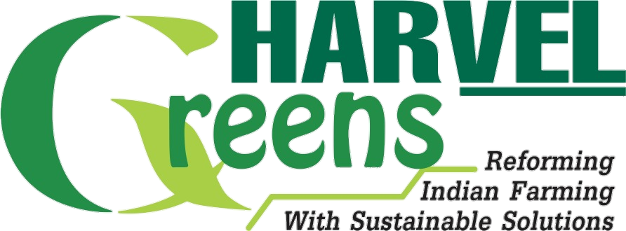 Harvel Greens